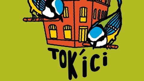 Tok Ici's banner
