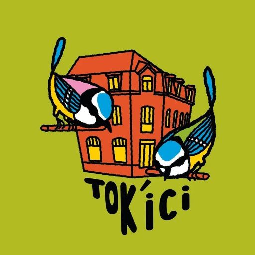 Tok Ici's logo