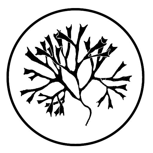 Albedo Kitchen's logo