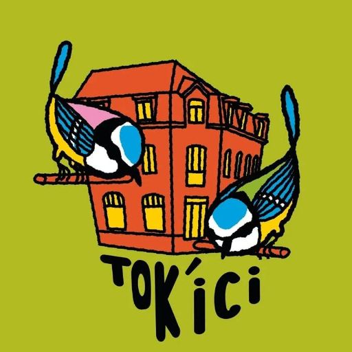 Tok Ici's logo